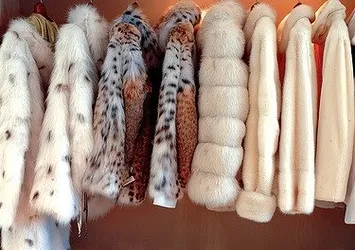 'Kürkünü çıkar vicdanını giy'