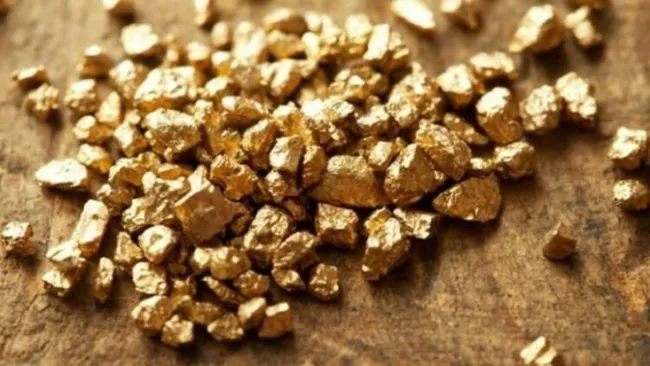 Gübretaş’a ait maden sahasında 3,5 milyon onsluk altın varlığı tespit edildi