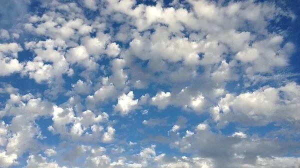 meteorolojiden-son-dakika-hava-durumu-aciklamasi-yogun-kar-yagisi-uyarisi-9-aralik-2020-hava-durumu-1607486183912.jpg Meteorolojiden son dakika hava durumu açıklaması! Yoğun kar yağışı uyarısı | 9 Aralık 2020 hava durumu - 6