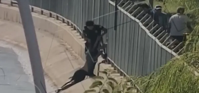 Şanlıurfa'da korku dolu anlar! Video uğruna ölümden döndü