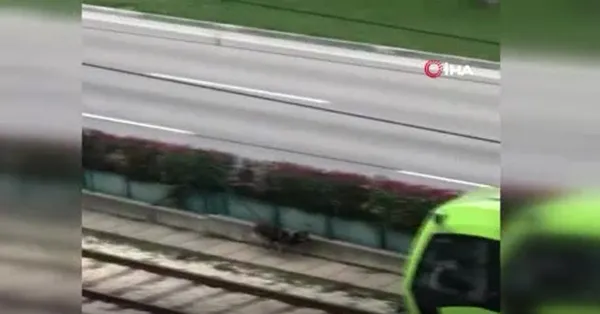 Bursa'da raylara giren davetsiz misafir seferleri aksattı - 1