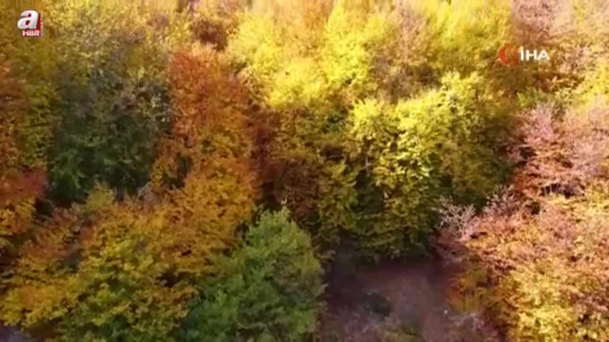 Şebek Geçidi’nde sonbahar güzelli