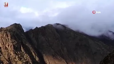 Kaçak avcılar kameralara takıldı