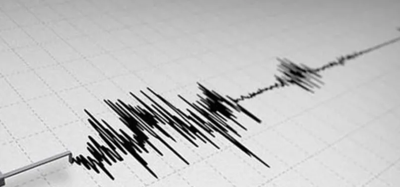 Muğla'da 4.5 büyüklüğünde deprem oldu