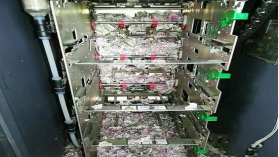 Hindistan'da ATM'ye giren fareler yaklaşık 9 milyon TL'yi yedi