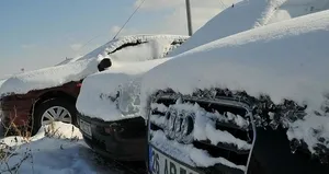 Piyasa değerleri milyonları buluyor!