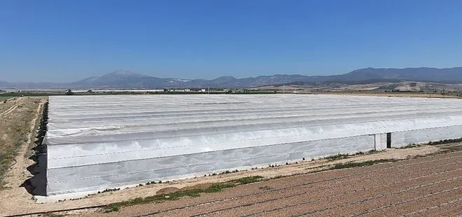 Denizli'de serada çalışan 26 işçi zehirlendi