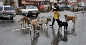 Vatandaşın ev arama kriteri değişti!