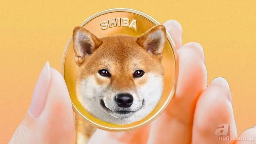 Shiba coine yeni tokenlerin etkisi... Shiba coin yakımı ne zaman? Shiba coin düşecek mi, artacak mı? 9