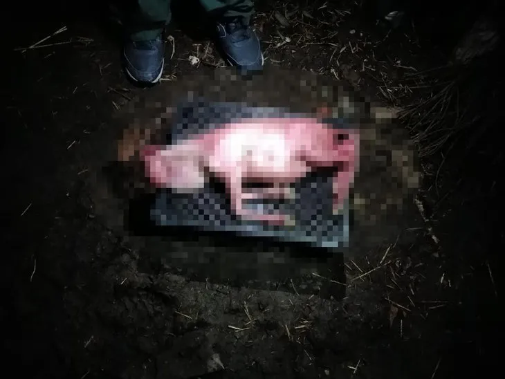 Ahıra girince gözlerine inanamadı! Koyunun doğurduğu kuzuyu görünce dehşete düştü 🐑 Yüzü ve tüyleri...
