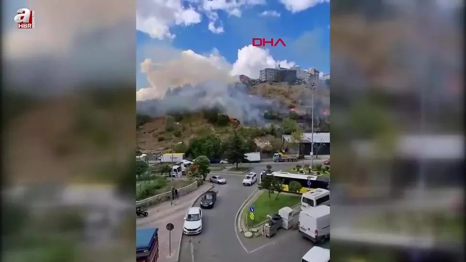 Kağıthane’de ağaçlık alanda yangın