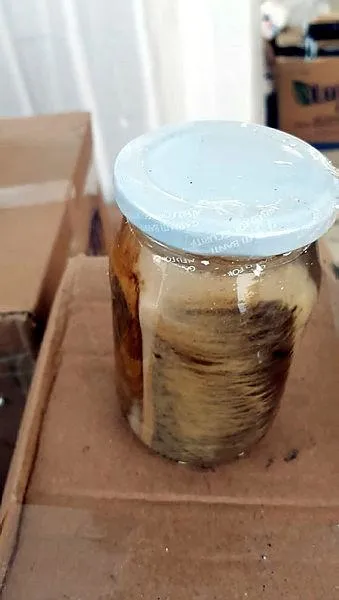 Adana’da kargo şubesinde 1 ton cinsel içerikli sahte macun ele geçirildi - 1