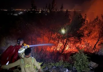 Aydın'da makilik alanda yangın
