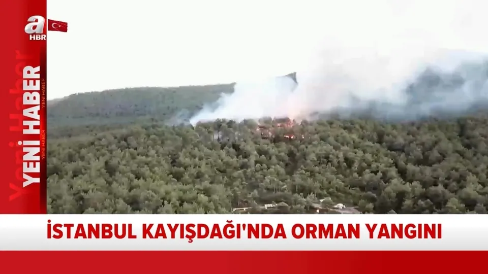 Son dakika: İstanbul Kayışdağı’nda orman yangını! İlk görüntüler
