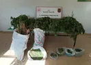 Elazığda uyuşturucu operasyonu