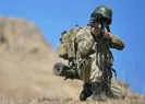 Fırat Kalkanı ve Barış Pınarı bölgelerinde operasyon