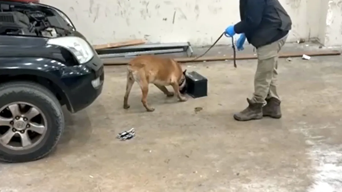 Kahvehaneye kumar denetimi: 4 kişiye 46 bin lira ceza