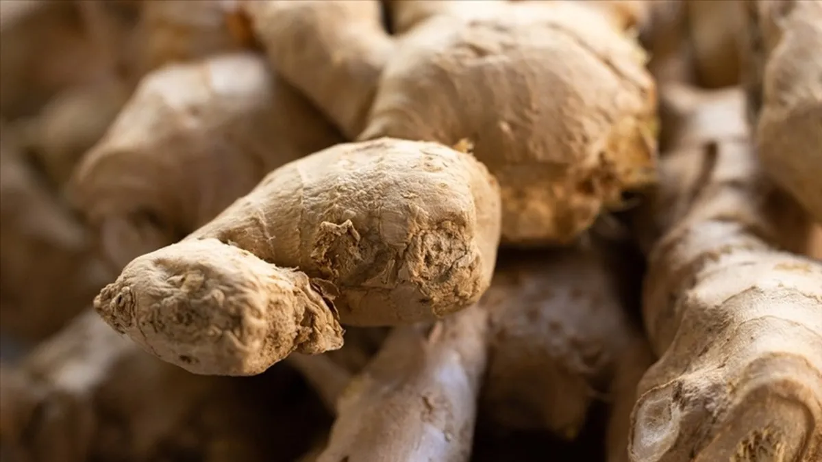 Sonbaharda hastalıklara kalkan olan 8 besin!