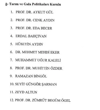 Cumhurbaşkanlığı politika kurullarına atamalar Resmi Gazete’de! 10 ayrı kurula toplam 140 isim