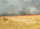 Korkutan yangın! Büyük panik