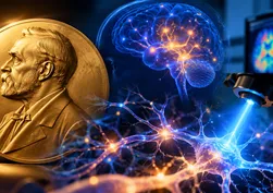 2026 Nobel Tıp Ödülü üç bilim insanına verildi! İşte ödülü getiren keşif