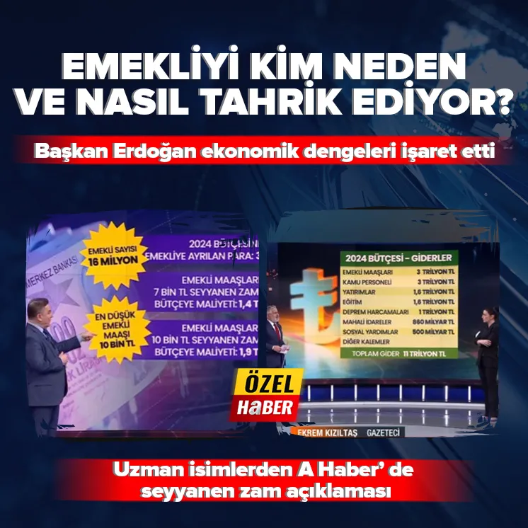 Emeklileri kim neden ve nasıl tahrik ediyor?