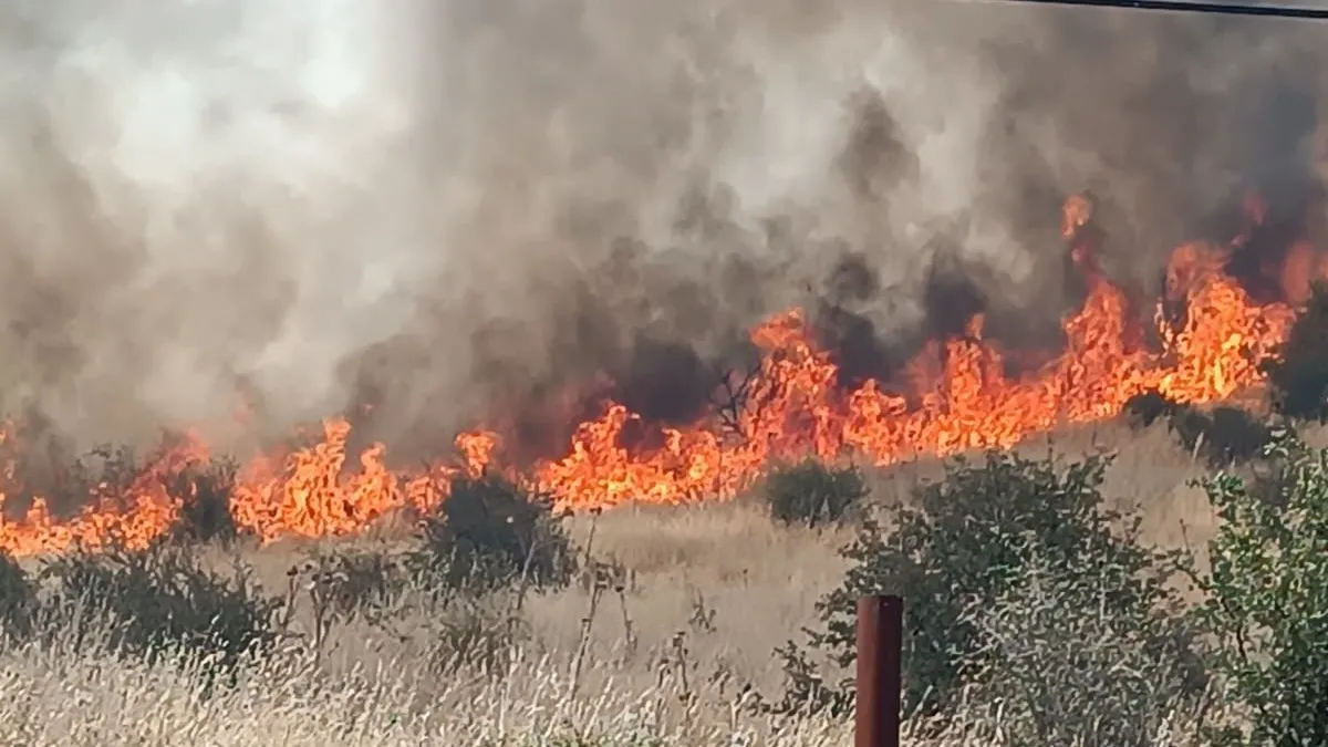 Batman’da orman yangını kontrol altına alındı