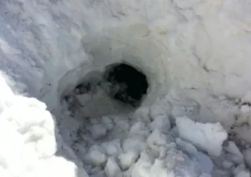 Van'da teröristlerin inine girildi