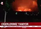 Ciğerlerimiz yanıyor!