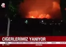 Ciğerlerimiz yanıyor!