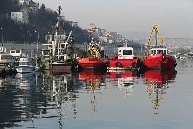 Karadeniz'de bir ilk yaşandı! Balıklar tersine göçe başladı - 8