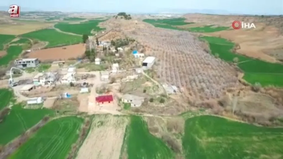 Adıyaman’da çiçek açan badem bahçeleri