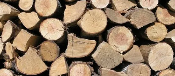 tarim-ve-orman-bakanligindan-depremzedelere-24-bin-455-ton-yakacak-odun-1676553943147.jpg Tarım ve Orman Bakanlığı'ndan depremzedelere 24 bin 455 ton yakacak odun - 2