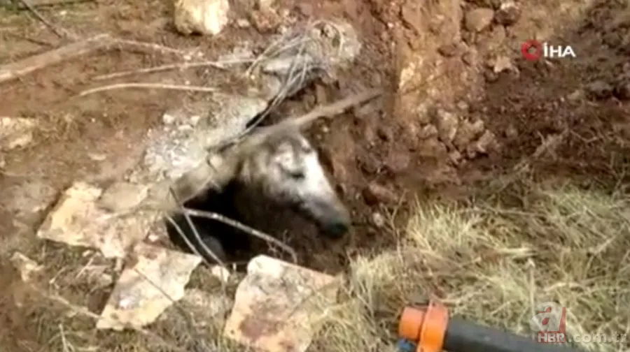 Yer altından gelen garip sesler ekipleri harekete geçirdi! Kanalizasyondan çıkan şoke etti 18