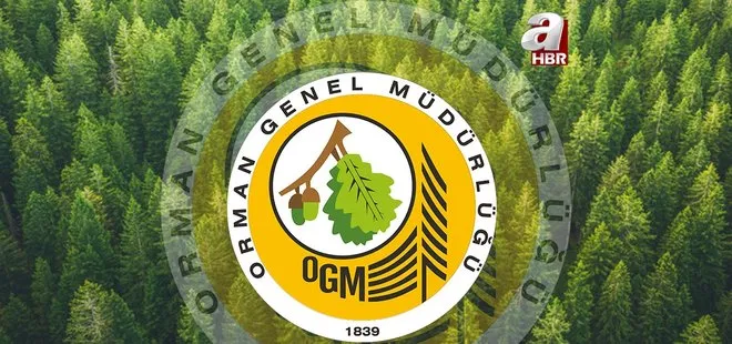 İl il OGM kura sonuçları sorgulama: 2021 Orman Genel Müdürlüğü işçi alımı kura çekimi ne zaman bitiyor?