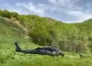 Tuncelide 10 sığınak imha edildi