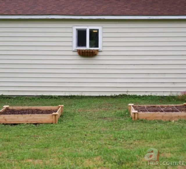 Toprağın içerisine yumurta koyunca bakın ne oluyor? 🥚 6