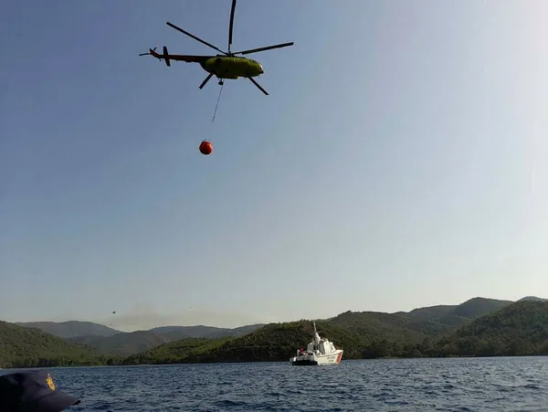 Başkan Erdoğan’dan Marmaris’teki yangına ilişkin açıklama: Dikim yaparak yeniden ihya edeceğiz