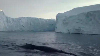 Dünya Meteoroloji Örgütü’nden su uyarısı!