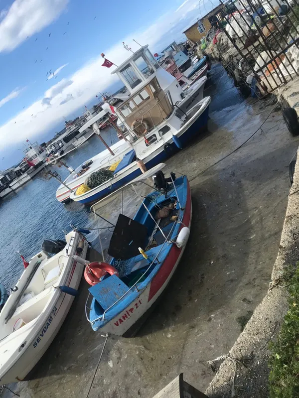 1615902604693.jpg Marmara Denizi'ndeki korkunç manzaranın nedeni belli oldu - 5