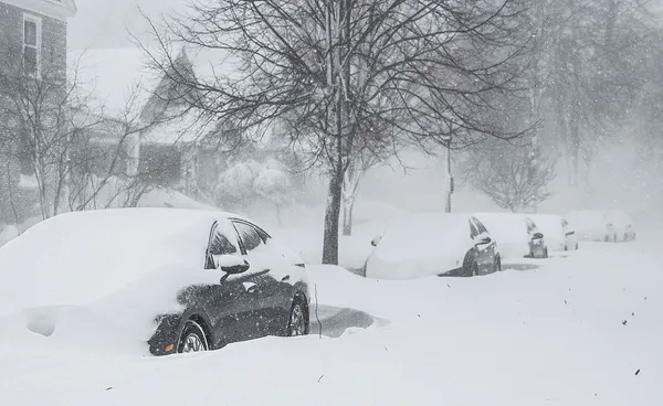 1672084618033.jpg ABD kabusu yaşıyor! Ölü sayısı 48'e yükseldi! Bazı bölgelerde trafiğe çıkış yasaklandı market rafları boşaldı - 7