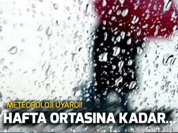 Selfie çekmek isterken ayı tarafından öldürüldü - 1