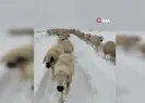 Yüzlercesi donmaktan son anda kurtuldu