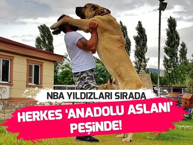 Urdun Basbakani Istifa Etti A Haber Son Dakika Dunya Haberleri