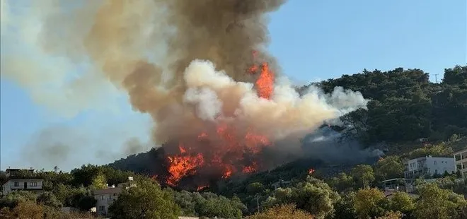 Manisa’da orman yangını! Alevlere müdahale sürüyor