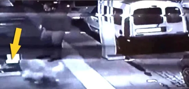 Köpeği kedinin yuvasına saldırttı! Manisa'daki vahşet anları güvenlik kamerasına yansıdı