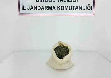 Bingöl'de aranan 2 şahıs yakalandı