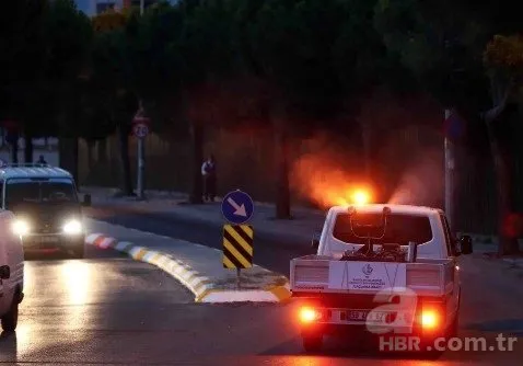 İstanbul’da ‘Aedes’ alarmı! Hastane başvuruları arttı