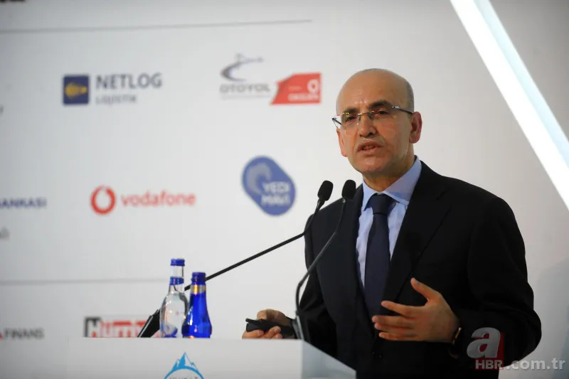 Mehmet Şimşek kimdir, kaç yaşında, nereli ve ne iş yapıyor? Hayatı ve kariyeri... 3