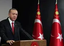 Başkan Erdoğandan infaz düzenlemesi açıklaması